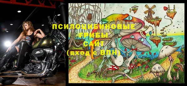 кристаллы Покачи
