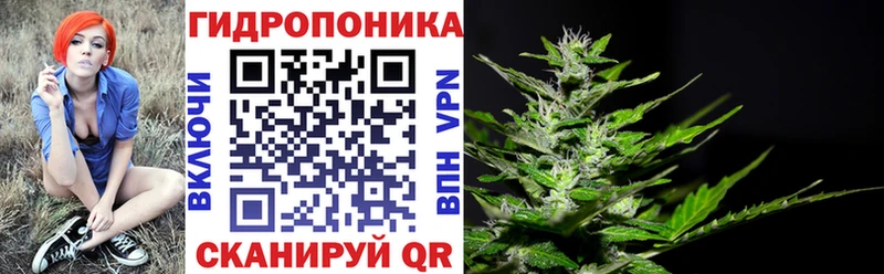 купить  сайты  Сертолово  Конопля индика 